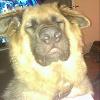 Murphy